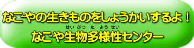 なごや生物多様性センター