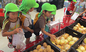 名古屋市立幼稚園の買い物体験の画像