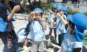 名古屋市立幼稚園の写真