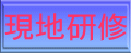 現地研修