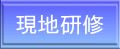 現地研修