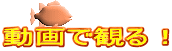 ŊςI