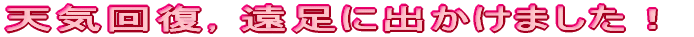 wCi߂łƂ܂