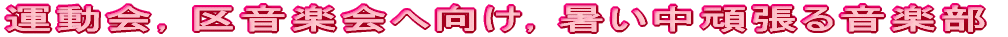 好天に恵まれ,思い出いっぱいの中津川に 5月17日(月)〜19日(水) 5年生