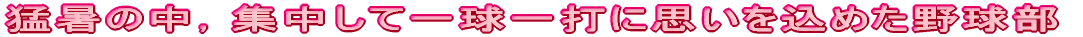 ҏ̒CWĈꋅłɎv߂싅 