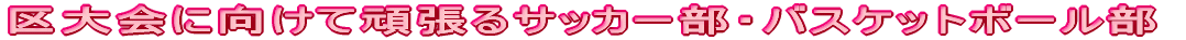 ڐ̂ɂCwDʂ\tg{[@ 