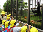 東山動物園遠足の写真