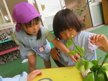 最近の様子の写真