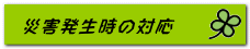 @ЊQ̑Ή