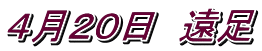 SQO@