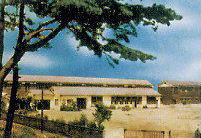 旧敷地(現　中川学体センター)の校舎