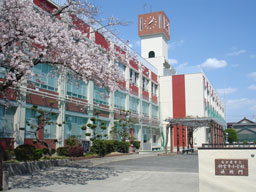 校舎と桜 校舎と桜