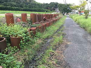 森田さんの2枚目の作品