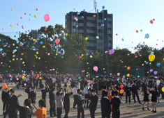 文化祭の様子