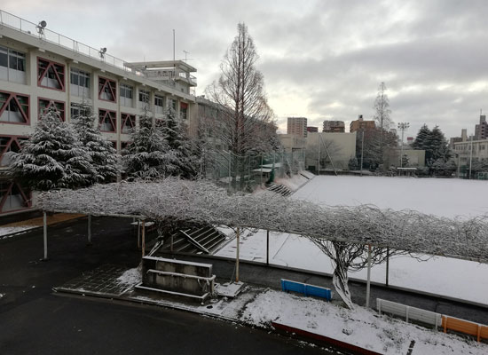 学校の風景