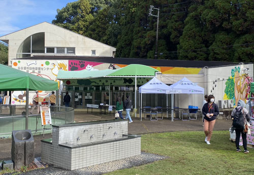 文化祭のようす