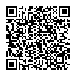 全学科見学コース