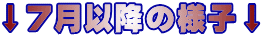 Vȍ~̗lq
