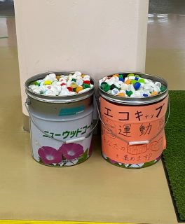 C[W01