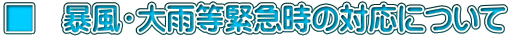 @\EJً}̑Ήɂ