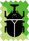 カブト虫