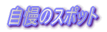 ̃X|bg