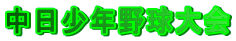 N싅 