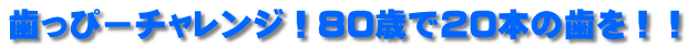 ҁ[`WI80΂20{̎II