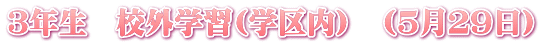 ３年生　校外学習(学区内)　(５月２９日)