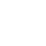 本年度の活動