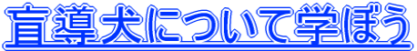 ӓɂĊwڂ